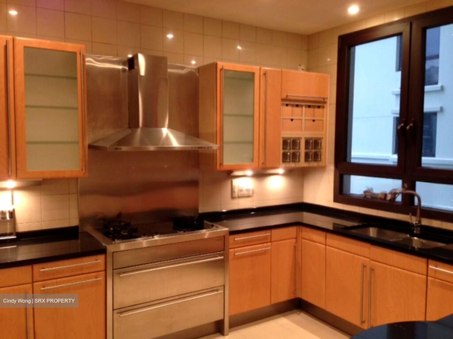 Ardmore Park (D10), Condominium #468533781